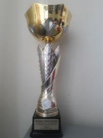 ПОЗДРАВЛЯЕМ КОМАНДУ г.МИНСКА  занявшую в командном первенстве с большим преимуществом первое место (91 очко)