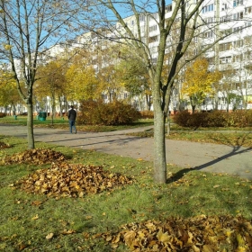 Объявляется благодарность участникам субботника 